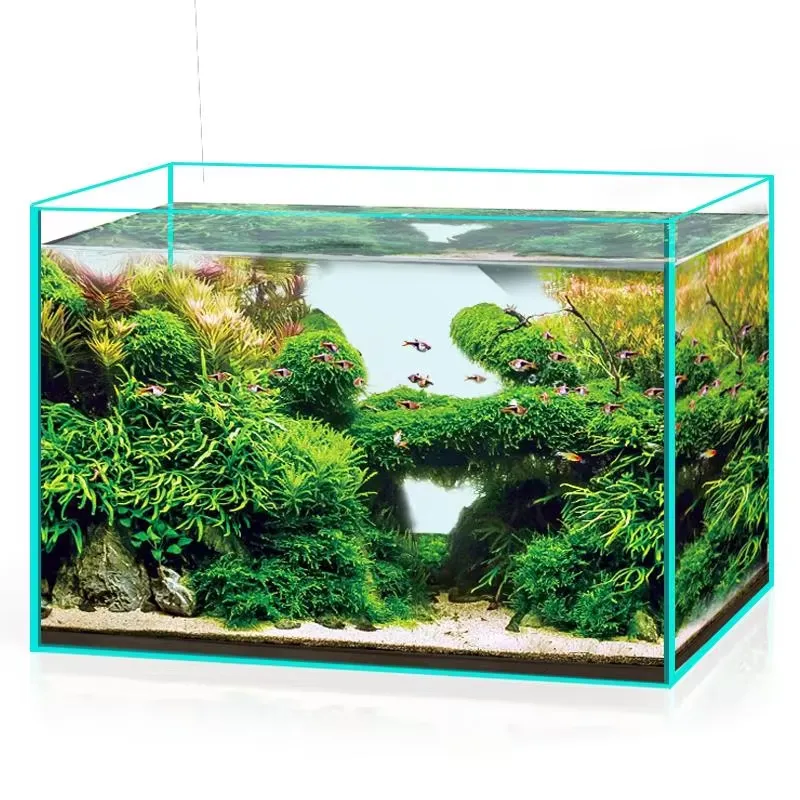 Marine Aquarium In Clearwater - حوض سمك زجاجي فائق الوضوح لجميع
