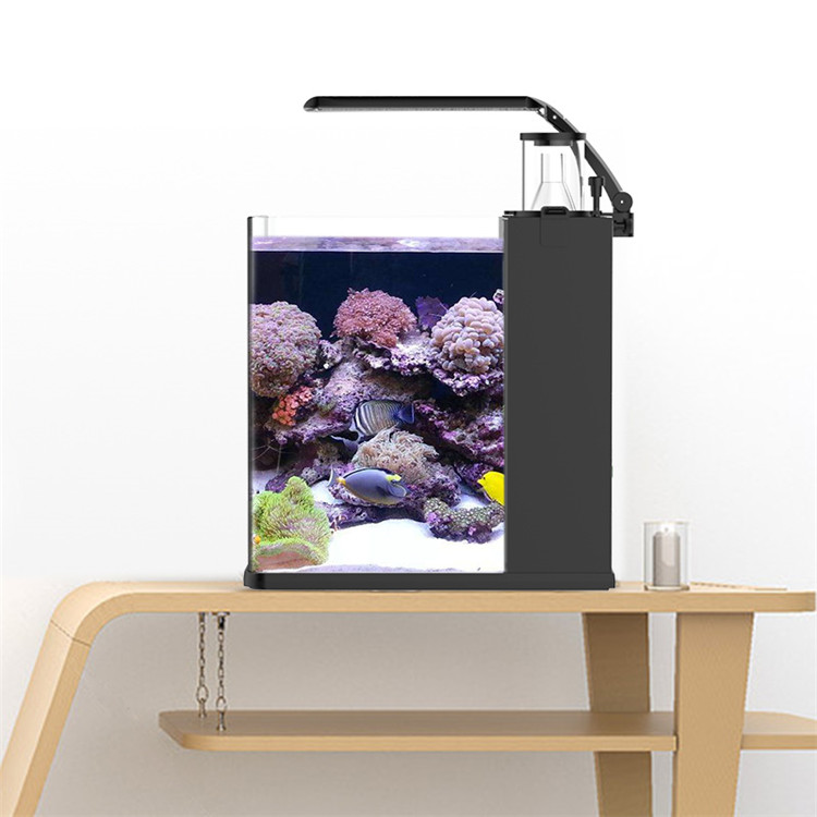 Marine Aquarium In Clearwater - حوض سمك زجاجي فائق الوضوح من