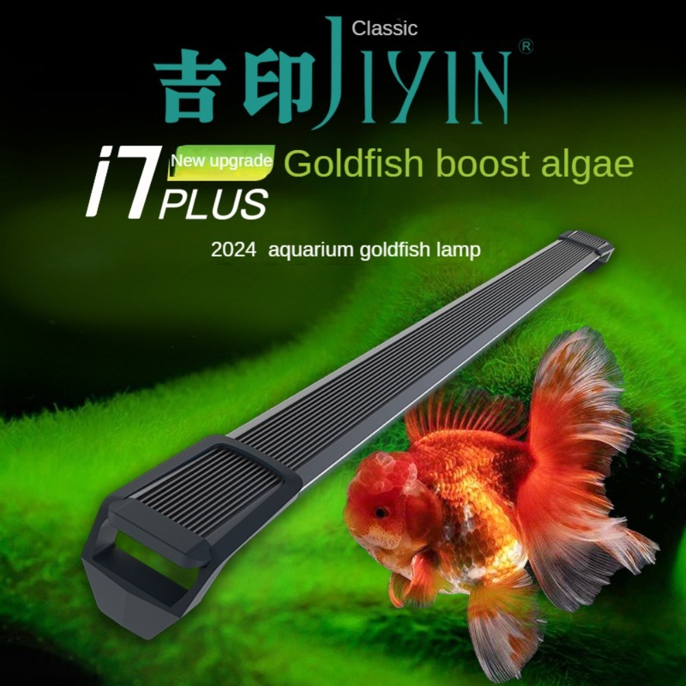 Marine Aquarium In Clearwater - إضاءة حوض السمك مع عدسة بصرية،