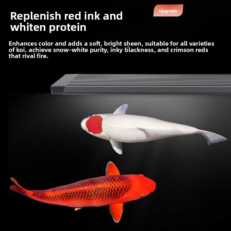 Marine Aquarium In Clearwater - إضاءة LED لأحواض السمك مع نظام