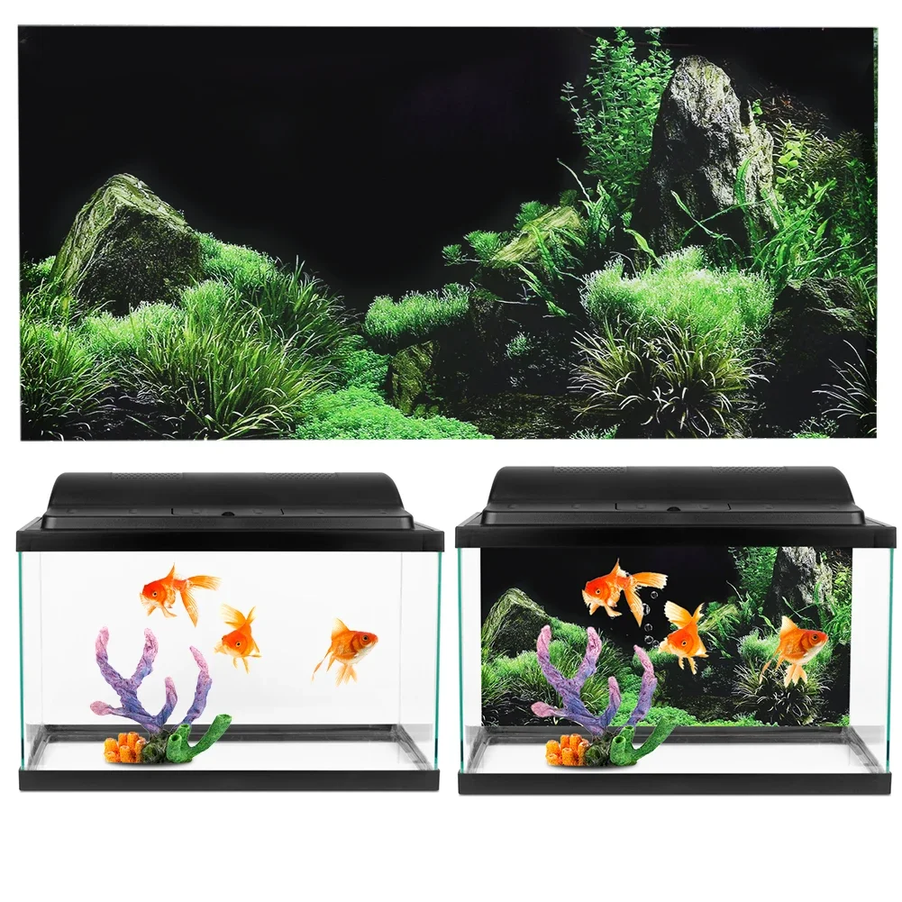 خلفية ل حوض السمك ملصق ثلاثية  - مراجعة Marine Aquarium All In One وسعره
