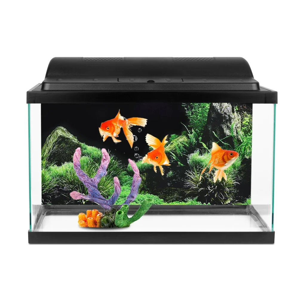 خلفية ل حوض السمك ملصق ثلاثية  - مراجعة Marine Aquarium All In One وسعره