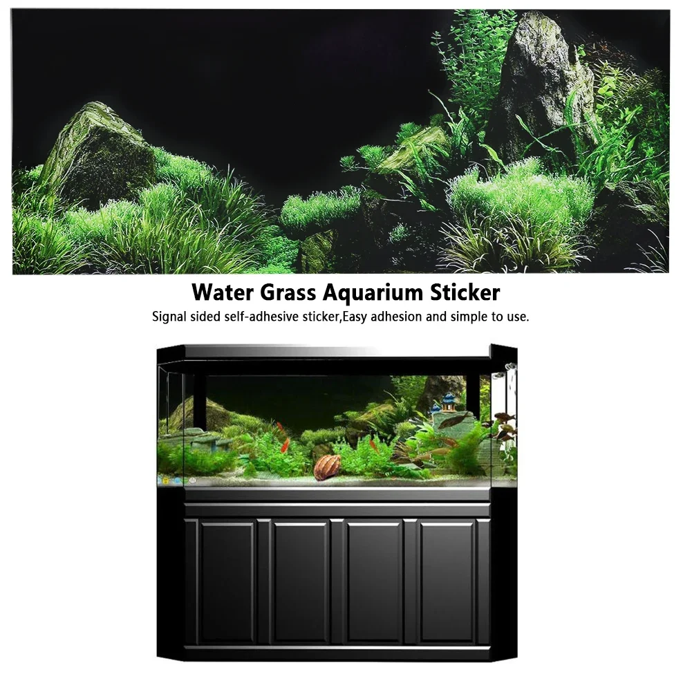 خلفية ل حوض السمك ملصق ثلاثية  - مراجعة Marine Aquarium All In One وسعره