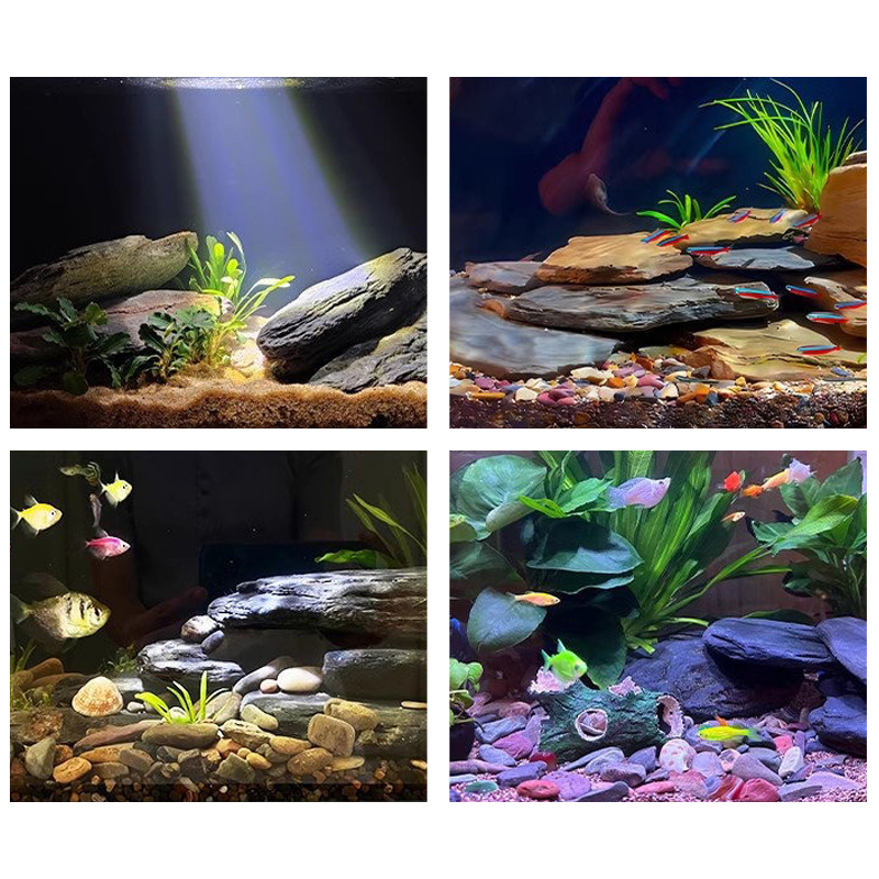 مجموعة أحجار تنسيق أحواض السمك - مراجعة Aquarium Marine Tank وسعره