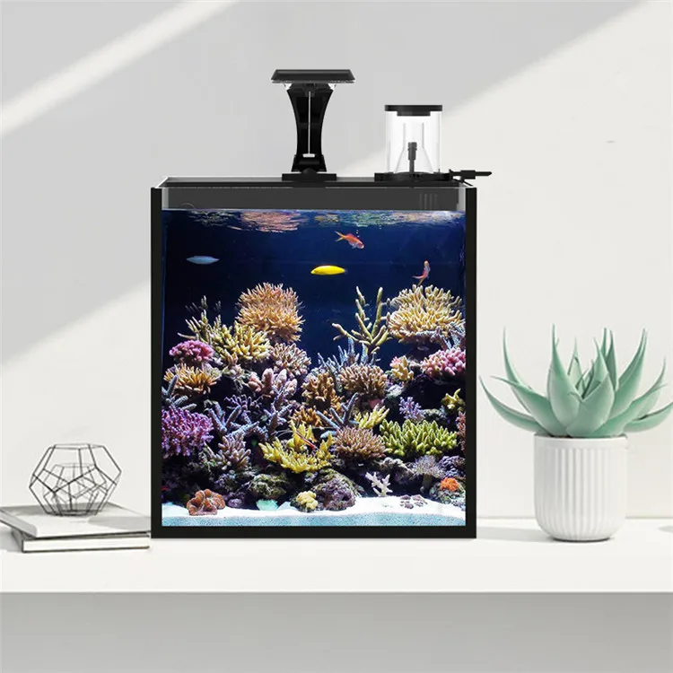 أحدث نموذج من الزجاج الشفاف لخ - مراجعة Marine Aquarium In Clearwater وسعره