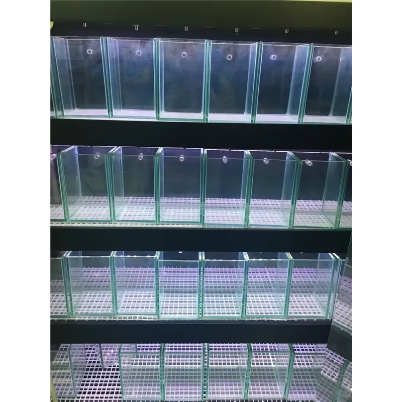 حوض سمك زجاجي فائق الوضوح لجمي - مراجعة Marine Aquarium In Clearwater وسعره