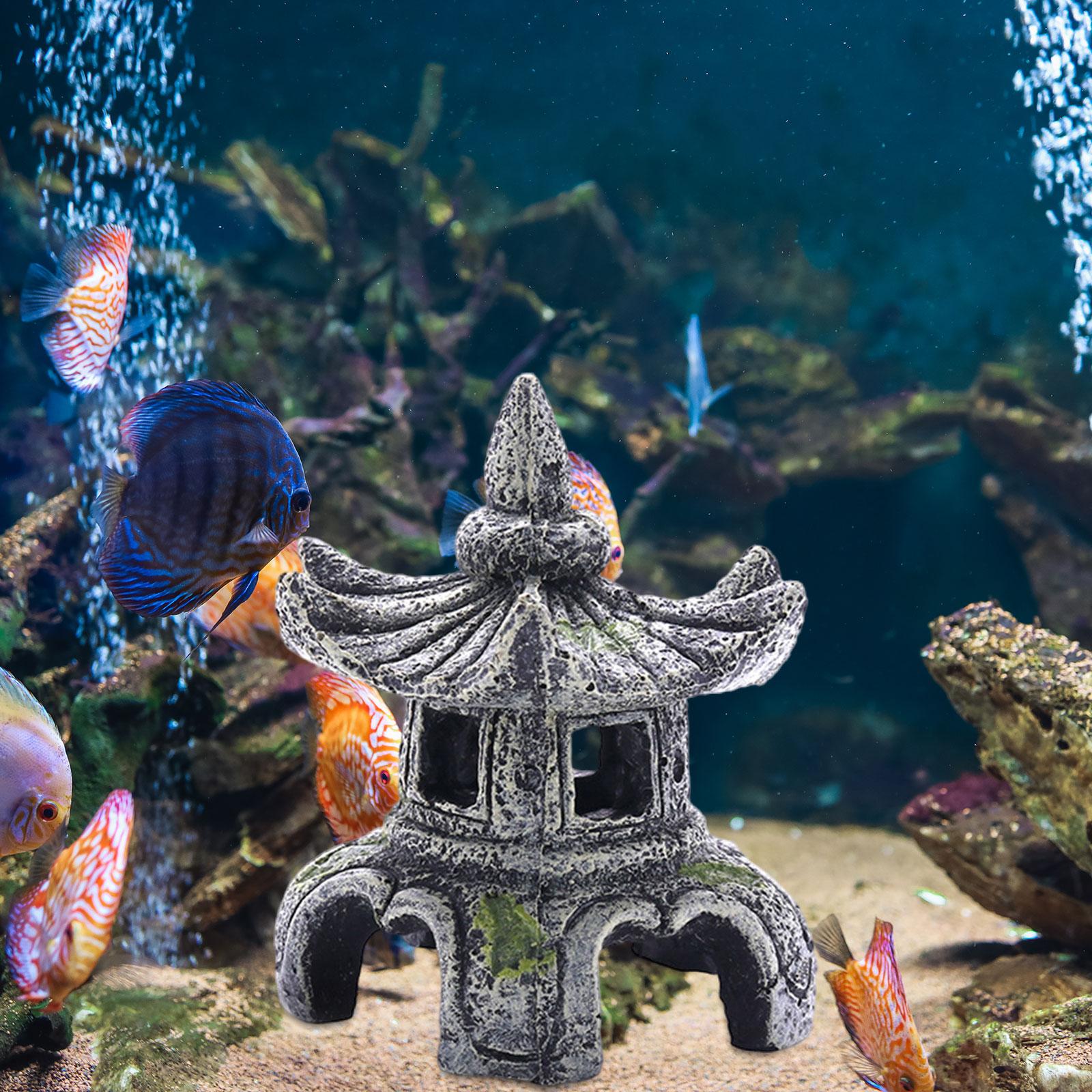 زخرفة مصباح حجر الحوض ، زخرفة  - مراجعة Marine Aquarium All In One وسعره