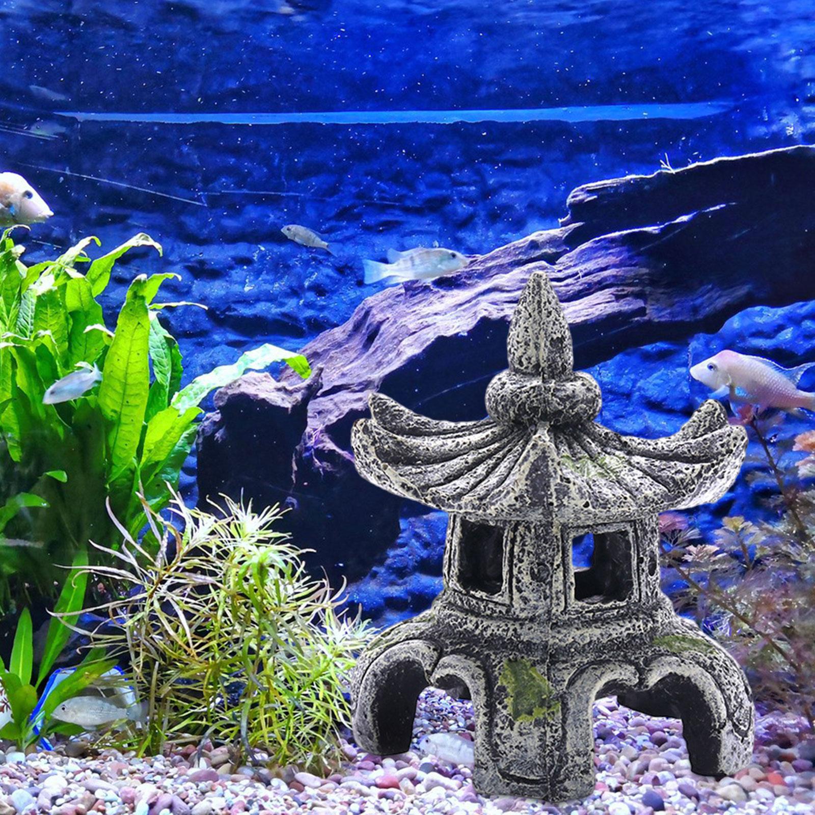 زخرفة مصباح حجر الحوض ، زخرفة  - مراجعة Marine Aquarium All In One وسعره