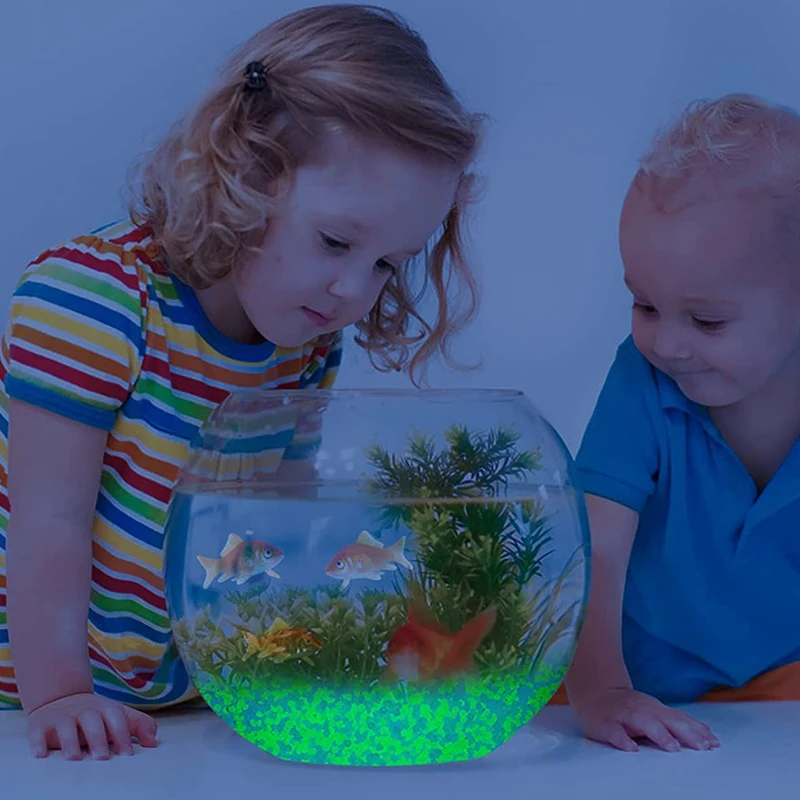 حصى رمال مضيئة في الظلام ، من  - مراجعة Aquarium Marine Tank وسعره