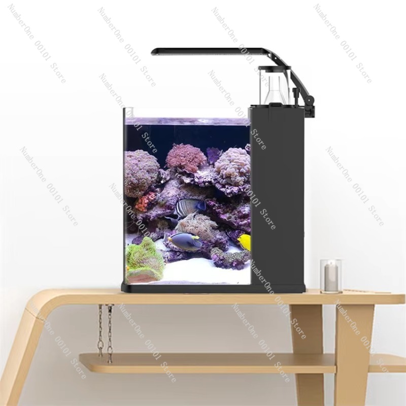 حوض سمك بحري صغير من الزجاج فا - مراجعة Marine Aquarium In Clearwater وسعره