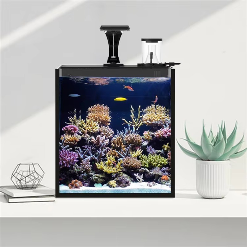 خزان أسماك حوض سمك بحري صغير ل - مراجعة Marine Aquarium In Clearwater وسعره
