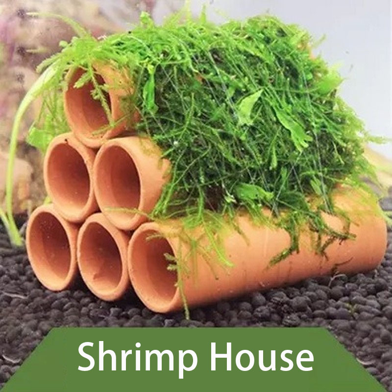 الطين حوض السمك الديكور الأسما - مراجعة Marine Aquarium All In One وسعره