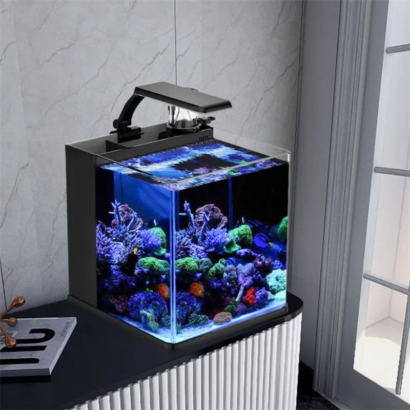 حوض أسماك بحرية صغير من الزجاج - مراجعة Marine Aquarium In Clearwater وسعره