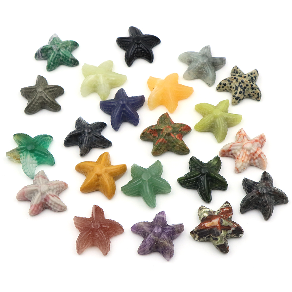 35 مللي متر نجم البحر شكل تمثا - مراجعة Marine Aquarium & Regional Centre Reviews وسعره