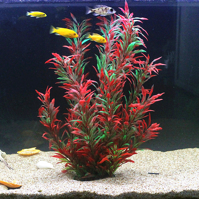 نباتات اصطناعية نادرة لأحواض ا - مراجعة Aquarium Marine Tank وسعره