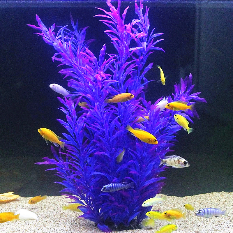 نباتات اصطناعية نادرة لأحواض ا - مراجعة Aquarium Marine Tank وسعره