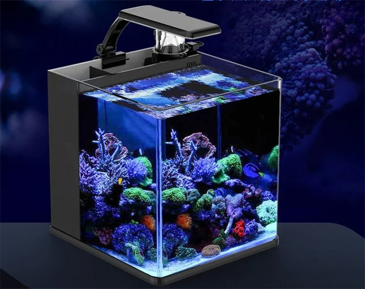 حوض سمك بحري صغير من الزجاج فا - مراجعة Marine Aquarium In Clearwater وسعره
