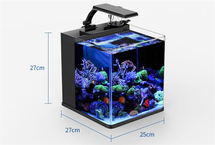 حوض سمك بحري صغير من الزجاج فا - مراجعة Marine Aquarium In Clearwater وسعره