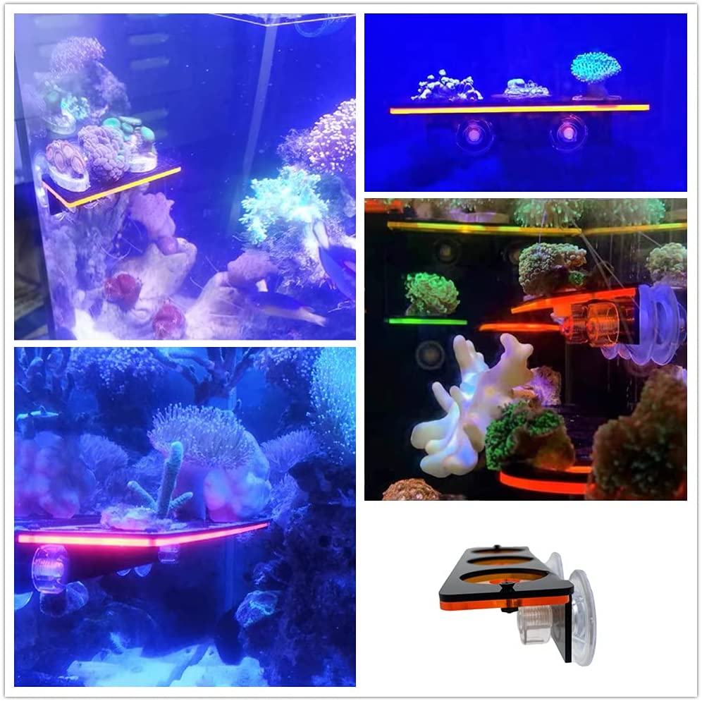 الفلورسنت المرجان Frag التوصيل - مراجعة Marine Aquarium All In One وسعره